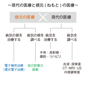 現代の医療と根元(ねもと)の医療