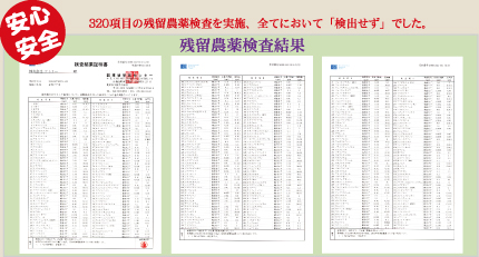 残留農薬調査結果