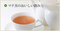 マテ茶のおいしい飲み方