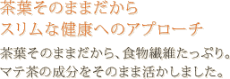 茶葉そのままだからスリムな健康へのアプローチ | 茶葉そのままだから、食物繊維たっぷり。マテ茶の成分をそのまま活かしました。